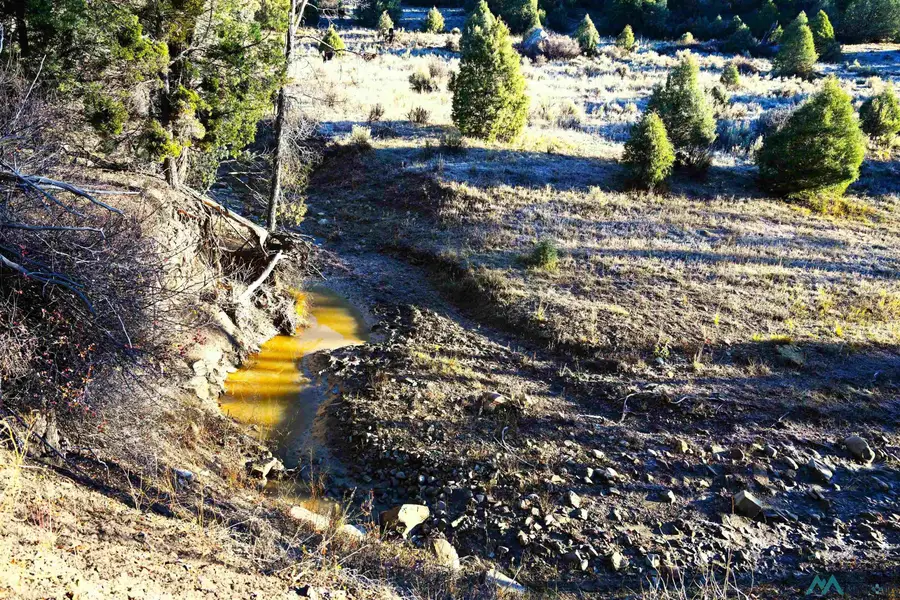 00 Cr 352, Chama, NM 87528 - #3