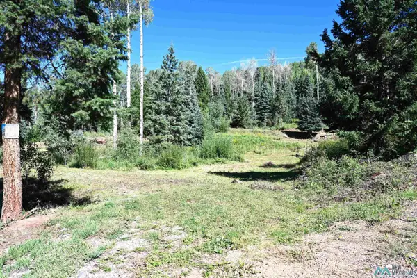 3 Canyons End, Chama, NM 87520