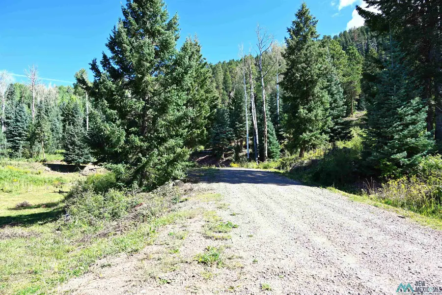 3 Canyons End, Chama, NM 87520 - Image #2