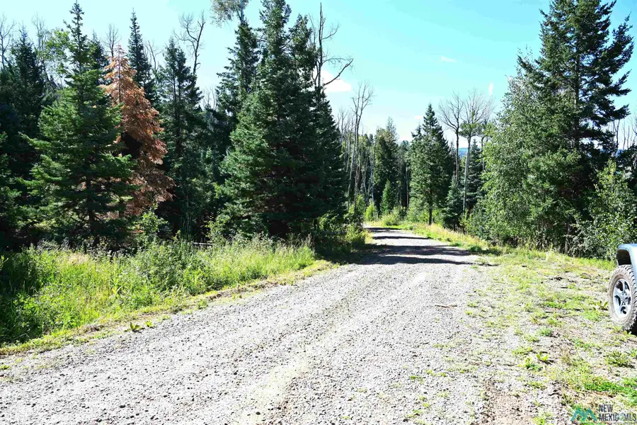 3 Canyons End, Chama, NM 87520 - Image #3