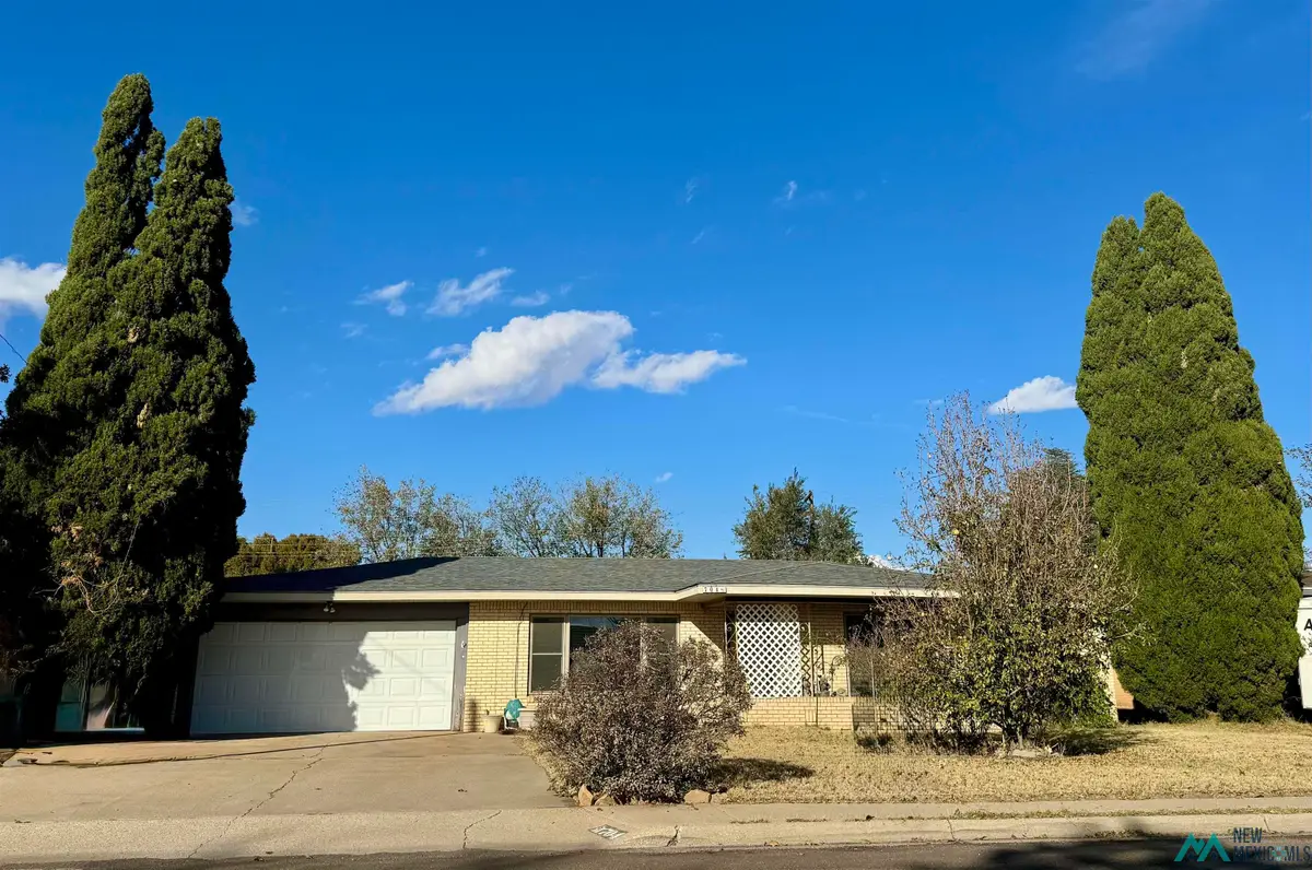 704 E Yeso Drive, Hobbs, NM 88240 - Image #1