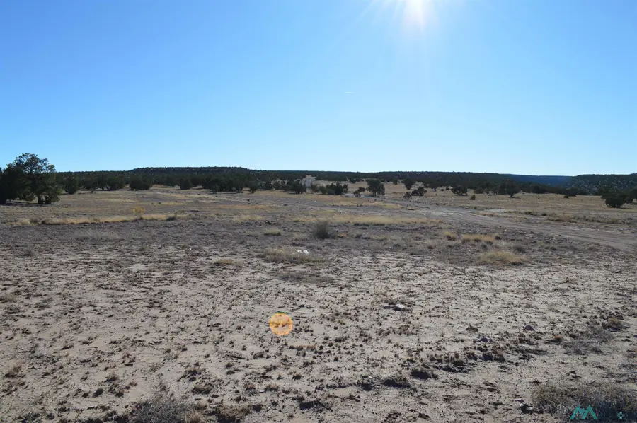 TBD Woodview Drive, Prewitt, NM 87045 - Image #2