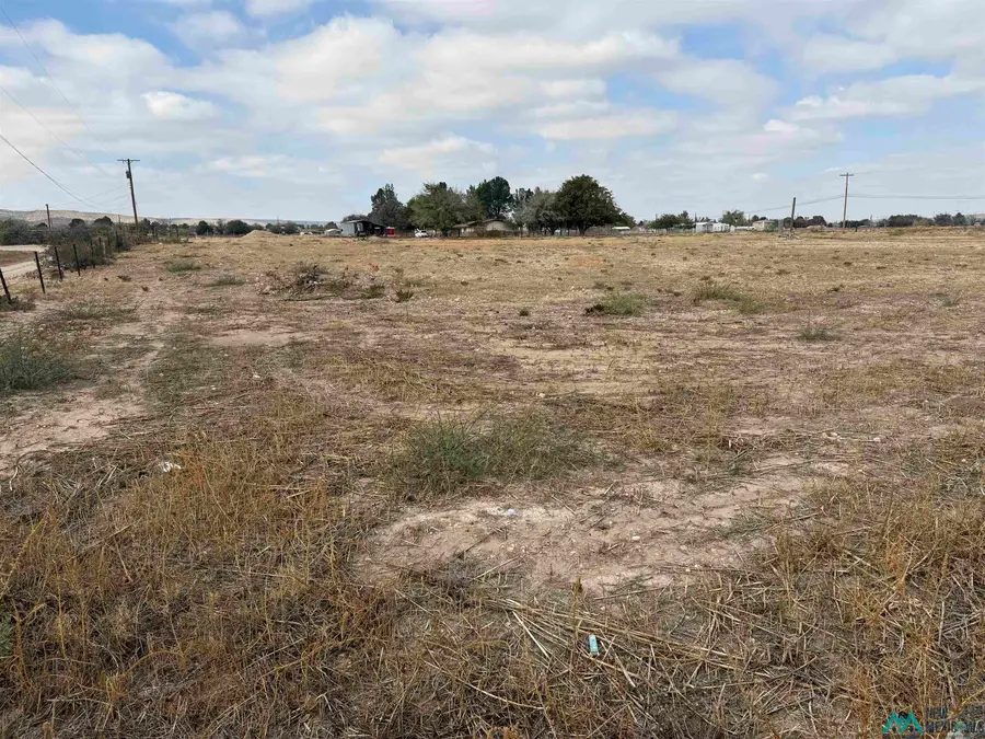 2003 Standpipe Road, Carlsbad, NM 88220 - Image #2