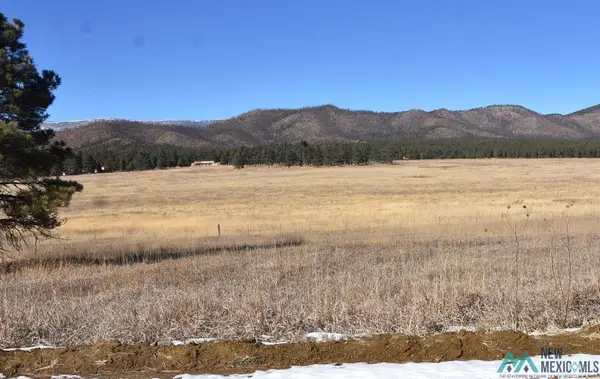 Subdivision 6 Lots 23,24,25,26 Street, Rociada, NM 87742