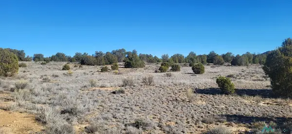 Tbd Arrowhead Road, Pinehill, NM 87357