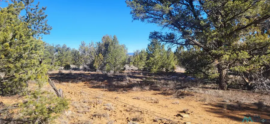 Tbd Arrowhead Road, Pinehill, NM 87357 - Image #3