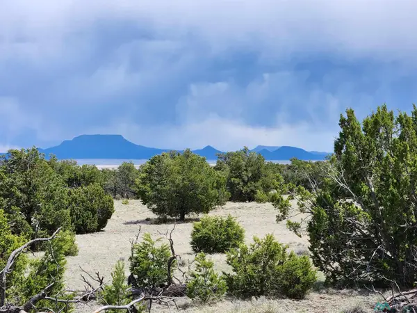 60 Arrow Lane Road, Quemado, NM 87829