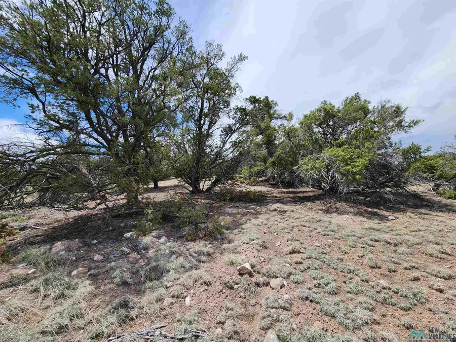 60 Arrow Lane Road, Quemado, NM 87829 - Image #2