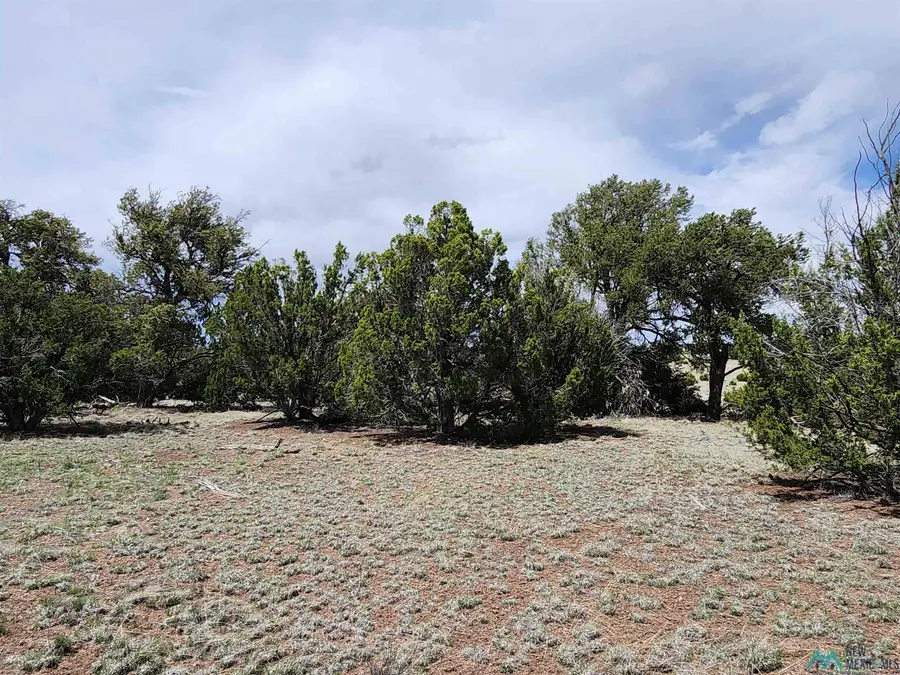 60 Arrow Lane Road, Quemado, NM 87829 - Image #3