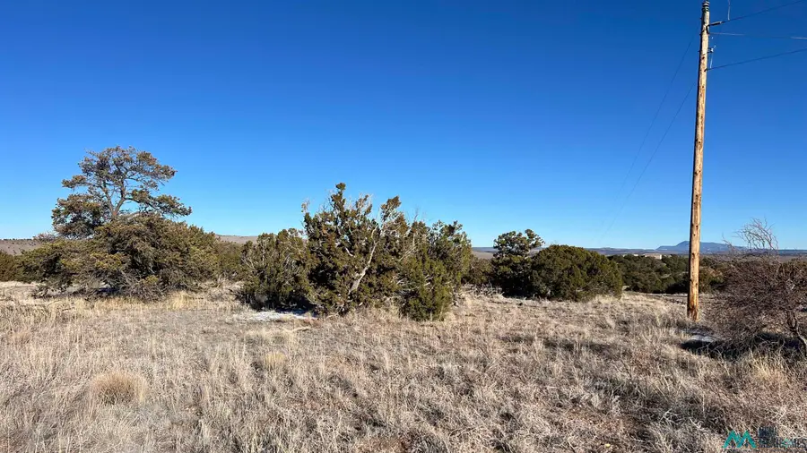 49 Sweetwater Dr. Road, Quemado, NM 87829 - Image #2