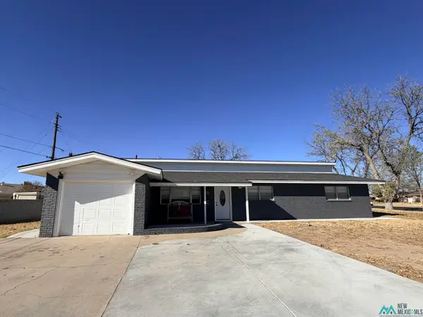 200 W Blanco Drive, Hobbs, NM 5