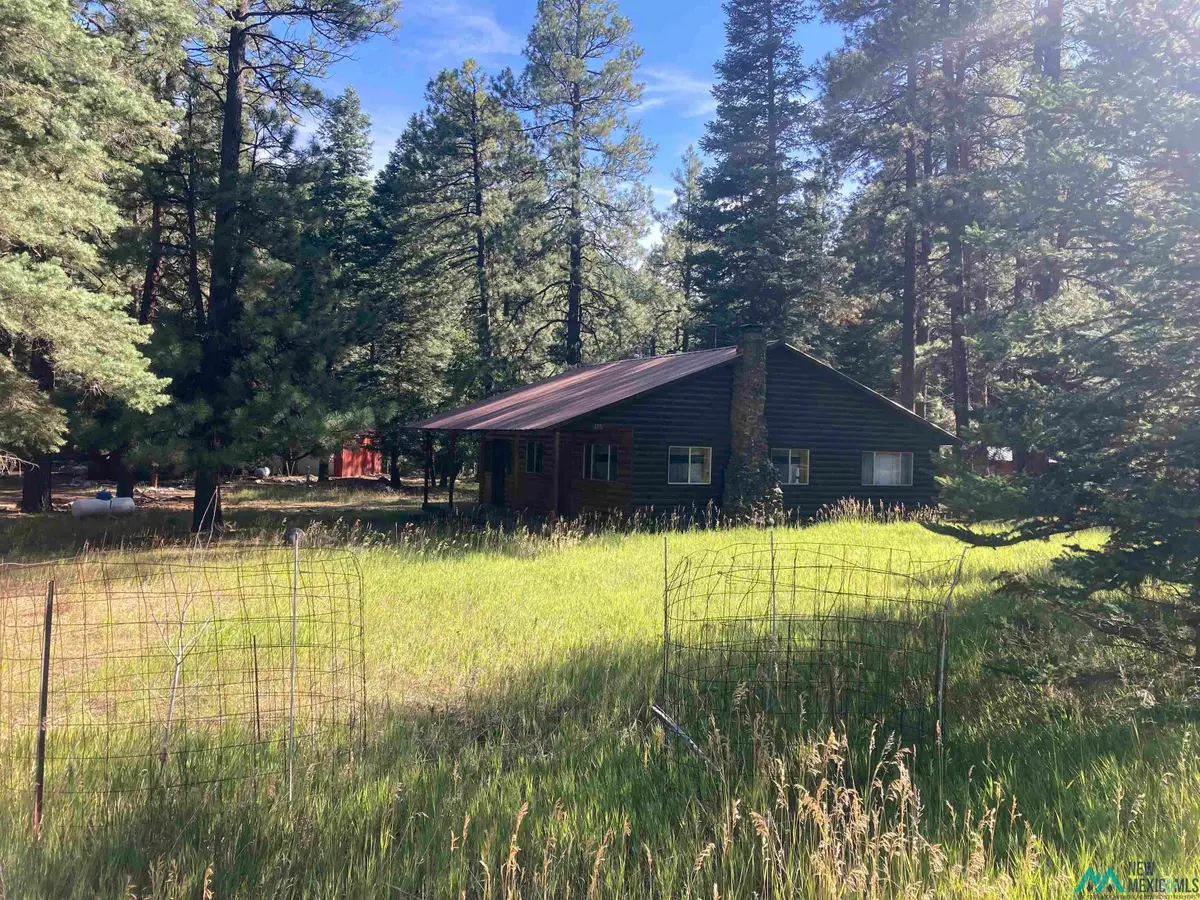 722 State Road 512 Road, Chama, NM 87520 - Image #1