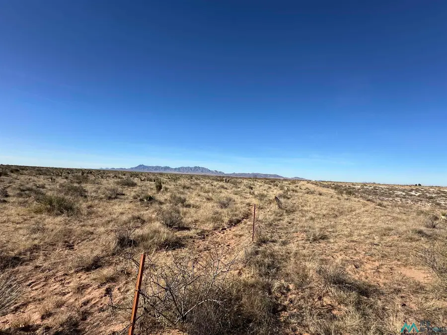 XXXX J Ave Se And Corner Of Peace Ave, Deming, NM 88030 - #3