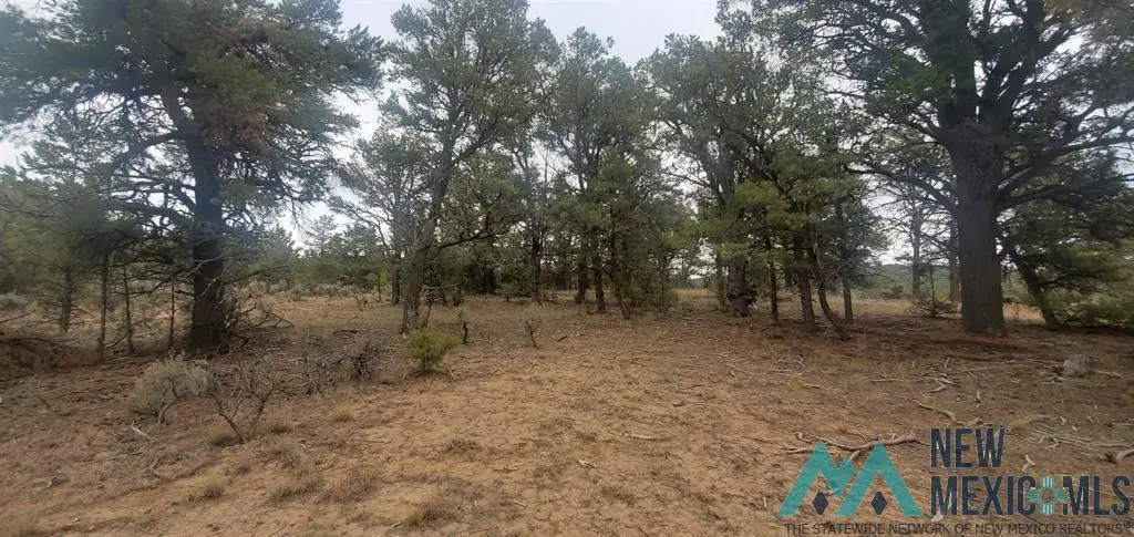 0 Cr 322 Drive, Los Ojos, NM 87551 - Image #1