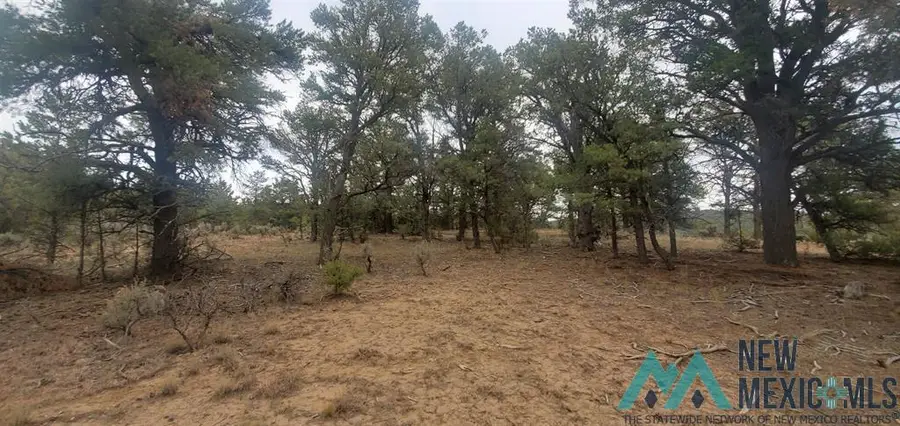 0 Cr 322 Drive, Los Ojos, NM 87551 - Image #3