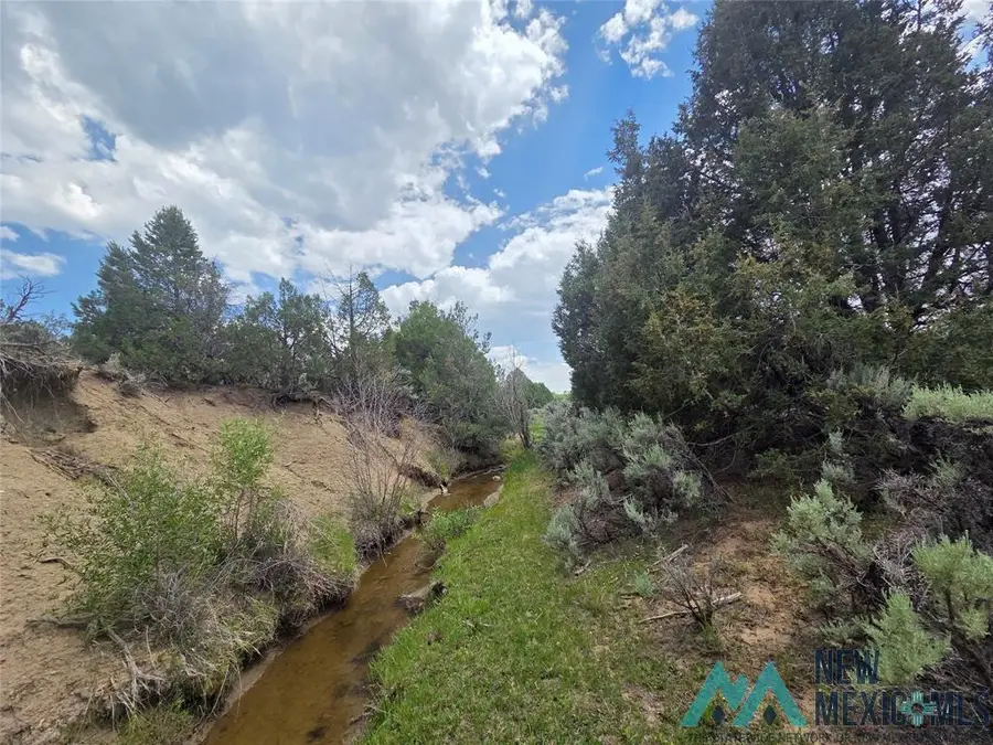 0 Hwy 64 Drive, Tierra Amarilla, NM 87575 - Image #2