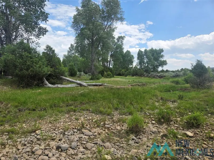 0 Hwy 64 Drive, Tierra Amarilla, NM 87575 - Image #3