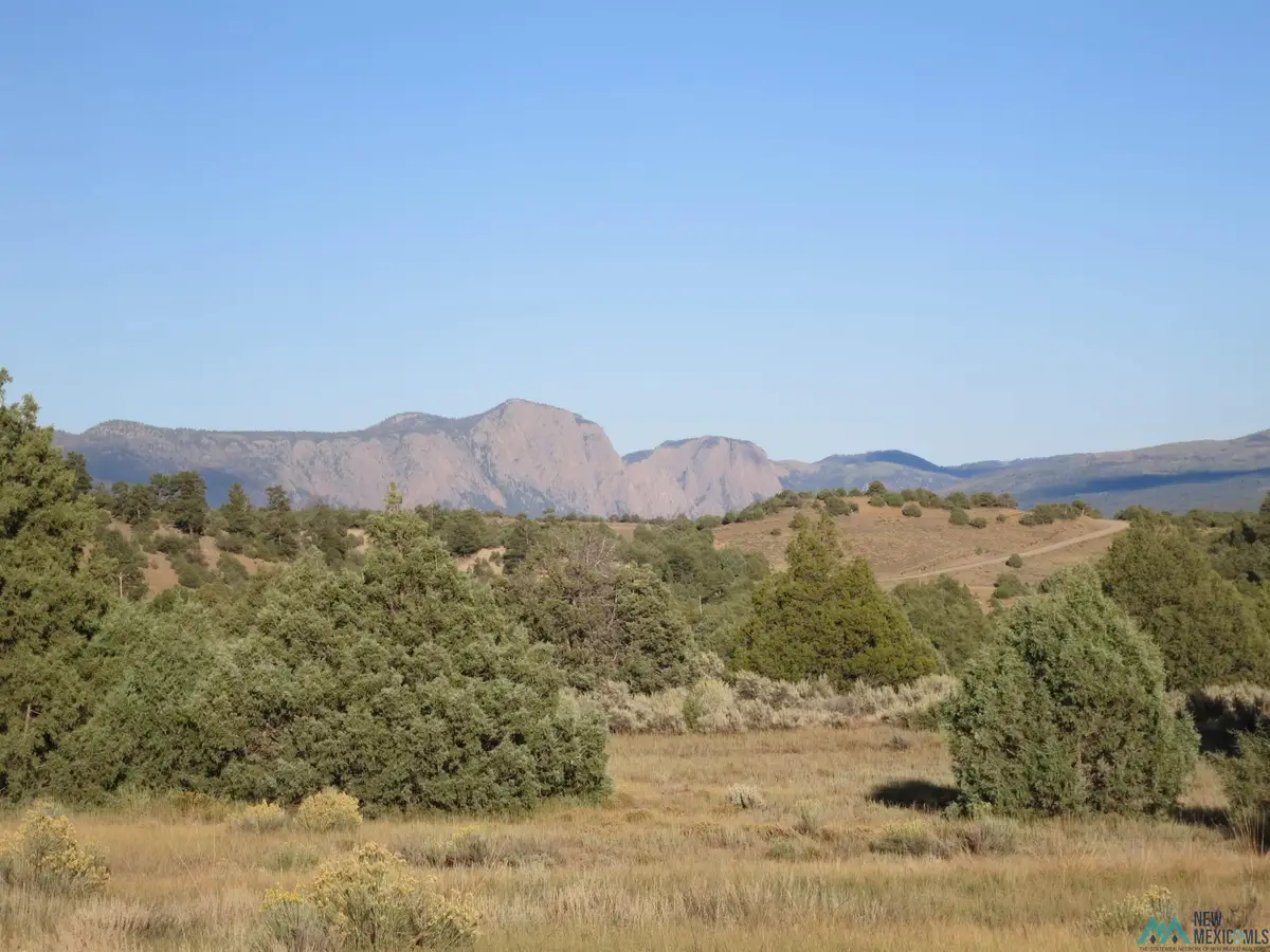 TBD Shroyer Hacienda Tract Drive, Chama, NM 87520 - Image #1