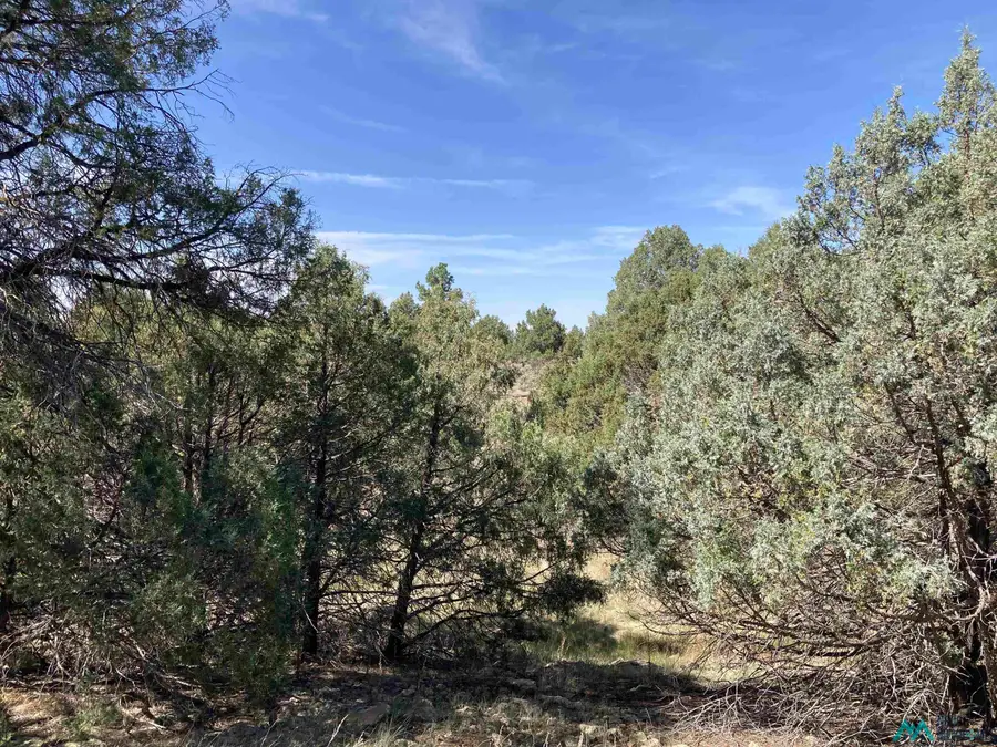 TBD Shroyer Hacienda Tract Drive, Chama, NM 87520 - Image #2
