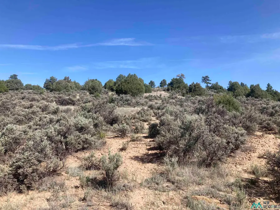 TBD Shroyer Hacienda Tract Drive, Chama, NM 87520 - Image #3