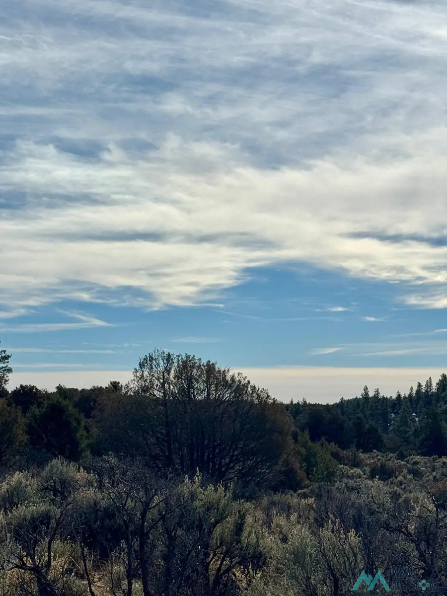TBD Canyon Road Road, Los Ojos, NM 87551 - Image #3