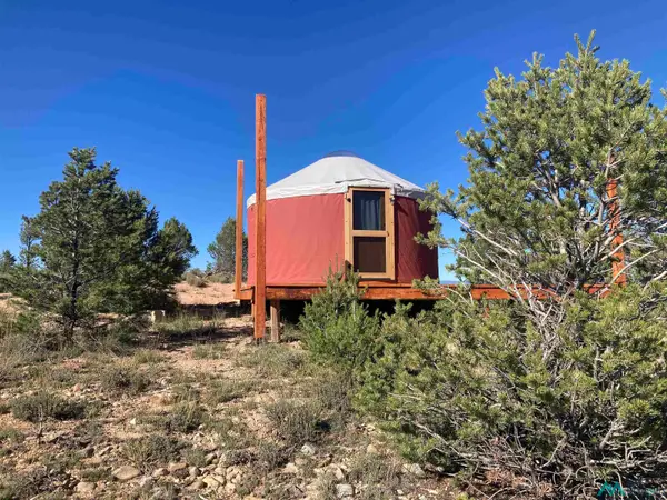 11 Cuyamungue Road, Tierra Amarilla, NM 87575