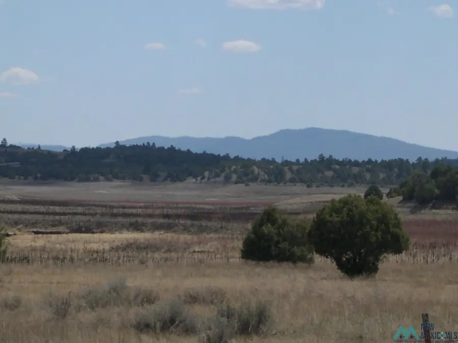 TBD Shroyer, Rutheron, NM 87551 - Image #3