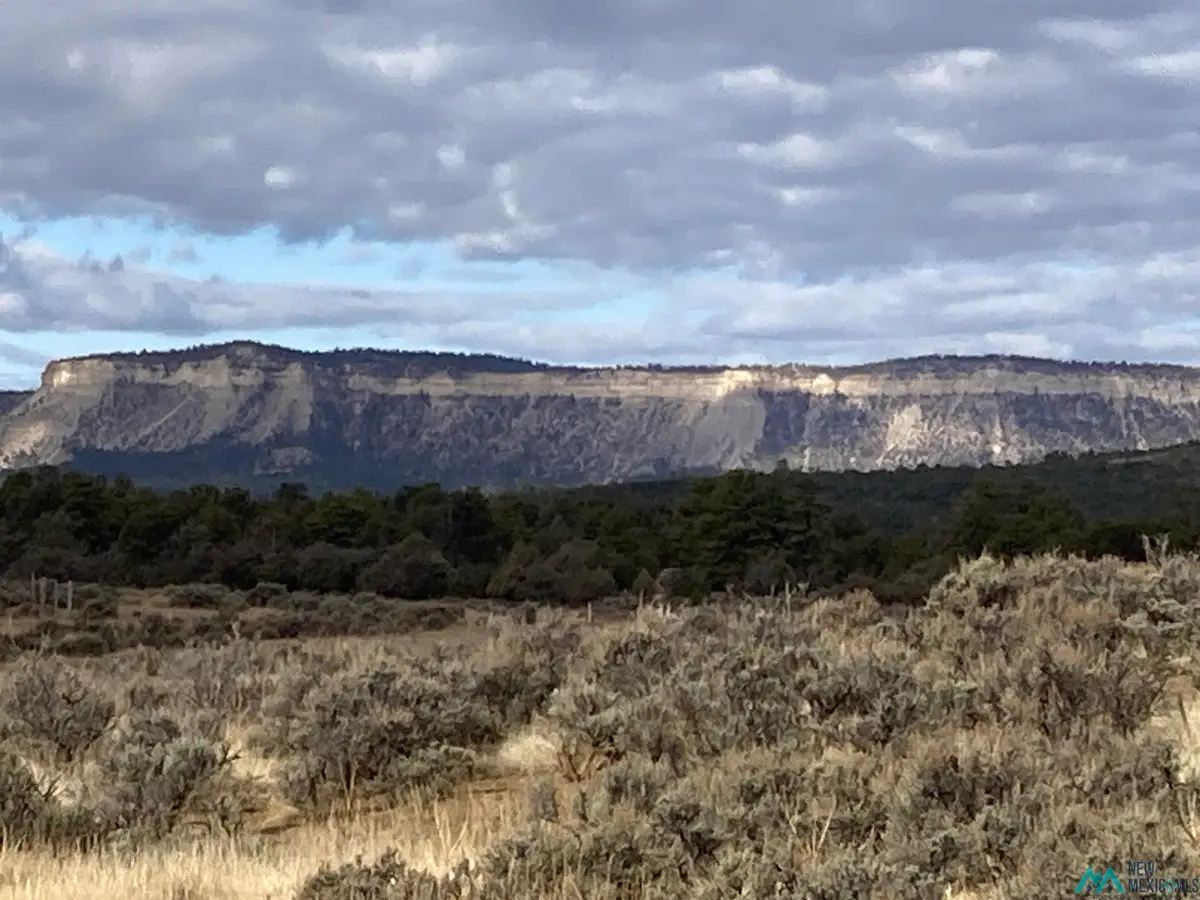 TBD El Vado Lakes, Tierra Amarilla, NM 87575 - Image #1