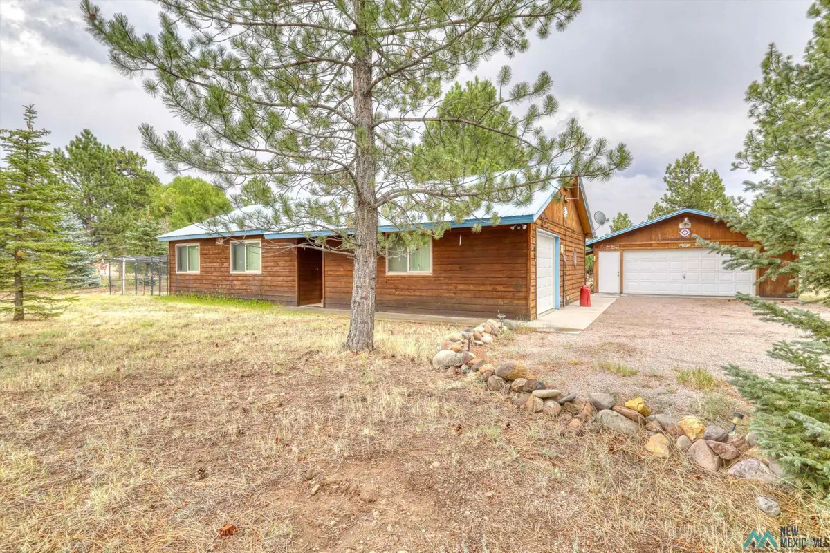 60 County Road 343 Road, Chama, NM 87520 - Image #1