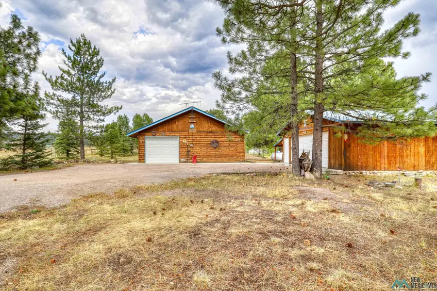 60 County Road 343 Road, Chama, NM 87520 - Image #3