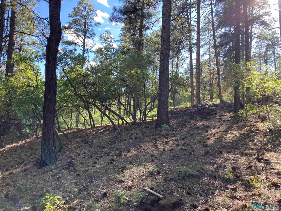 TBD Serenity Drive, Chama, NM 87520 - Image #3