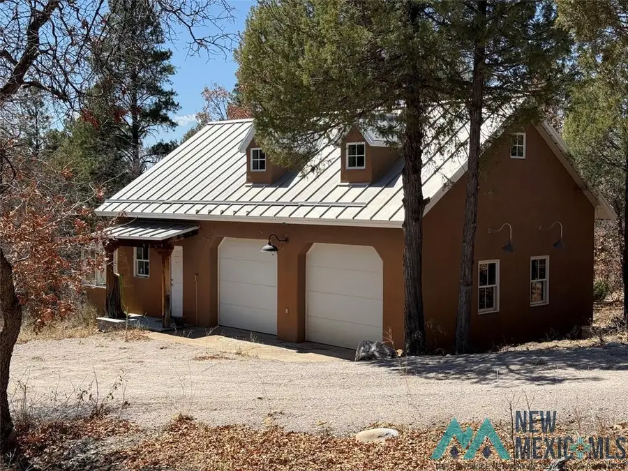 64 Pd 1754 Drive, Chama, NM 87520 - Image #3