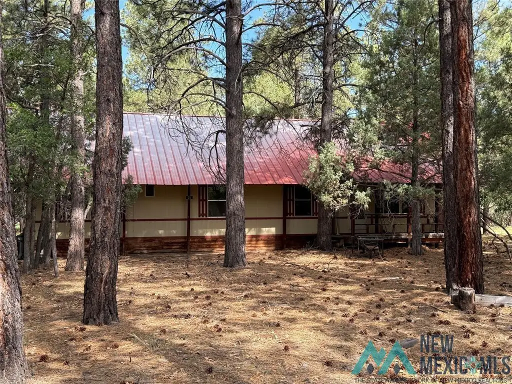 31 Mundy Lane Drive, Chama, NM 87520 - Image #1