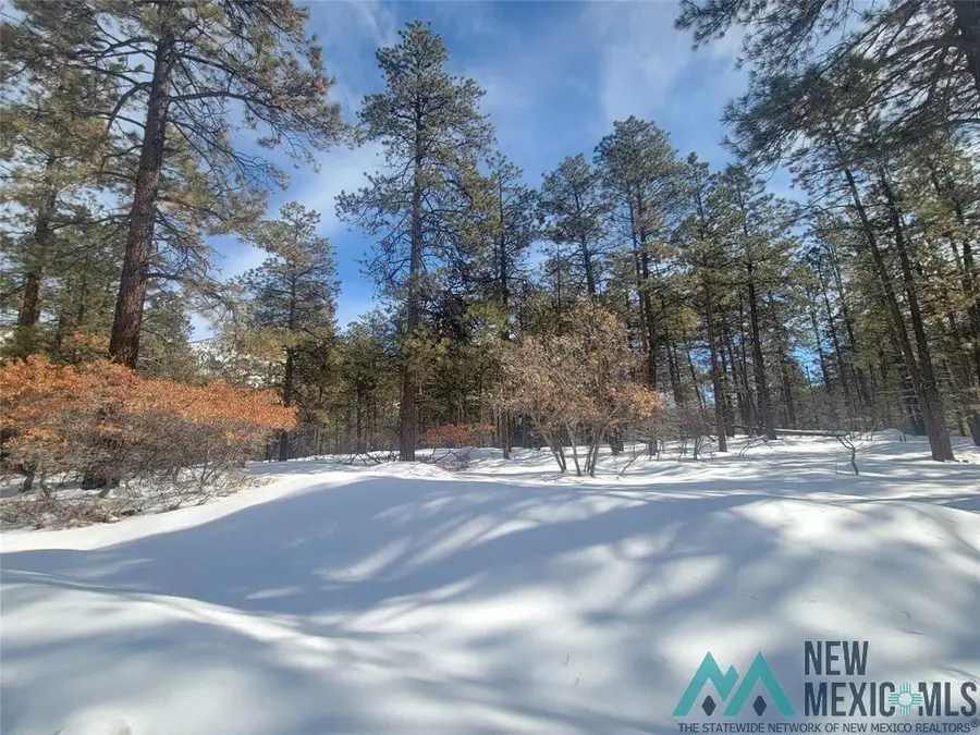 R-19S R-19n Serernity Drive, Chama, NM 87520 - Image #2