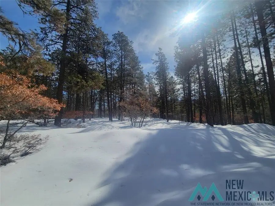 R-19S R-19n Serernity Drive, Chama, NM 87520 - Image #3