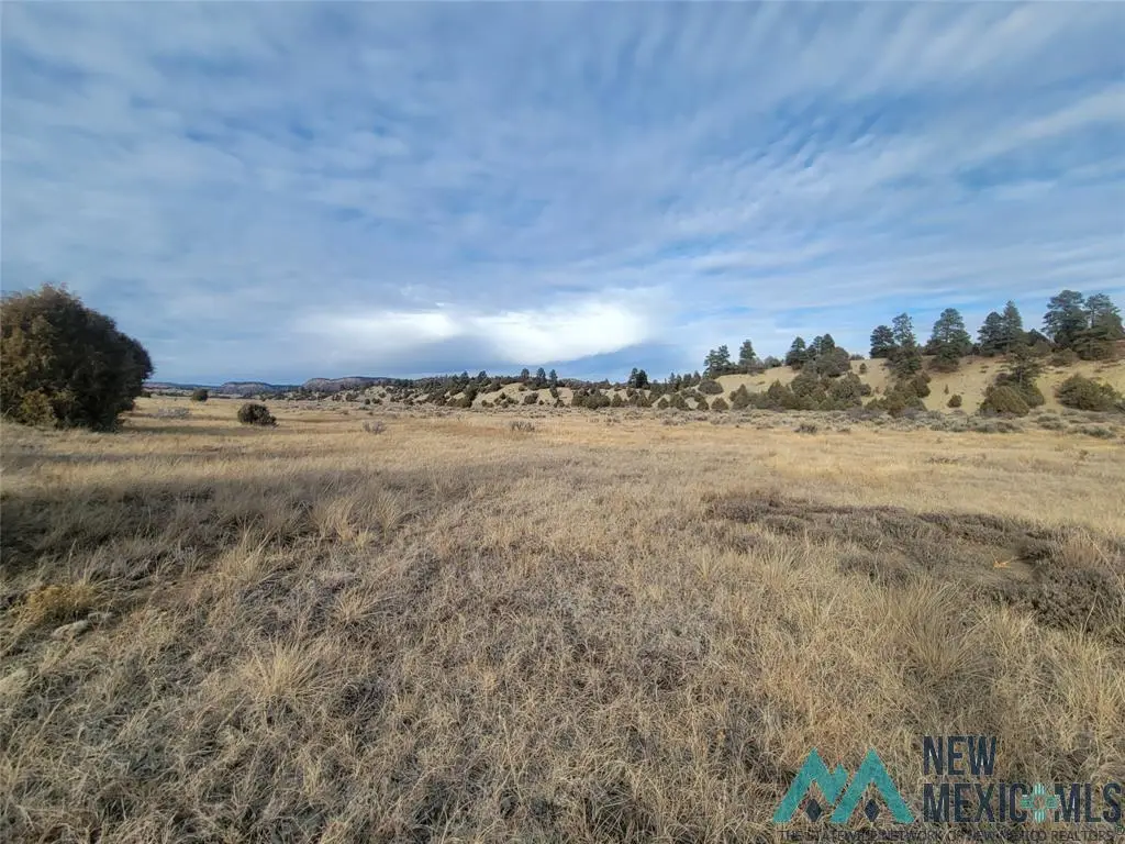 0 Willow Way Drive, Chama, NM 87520 - Image #1