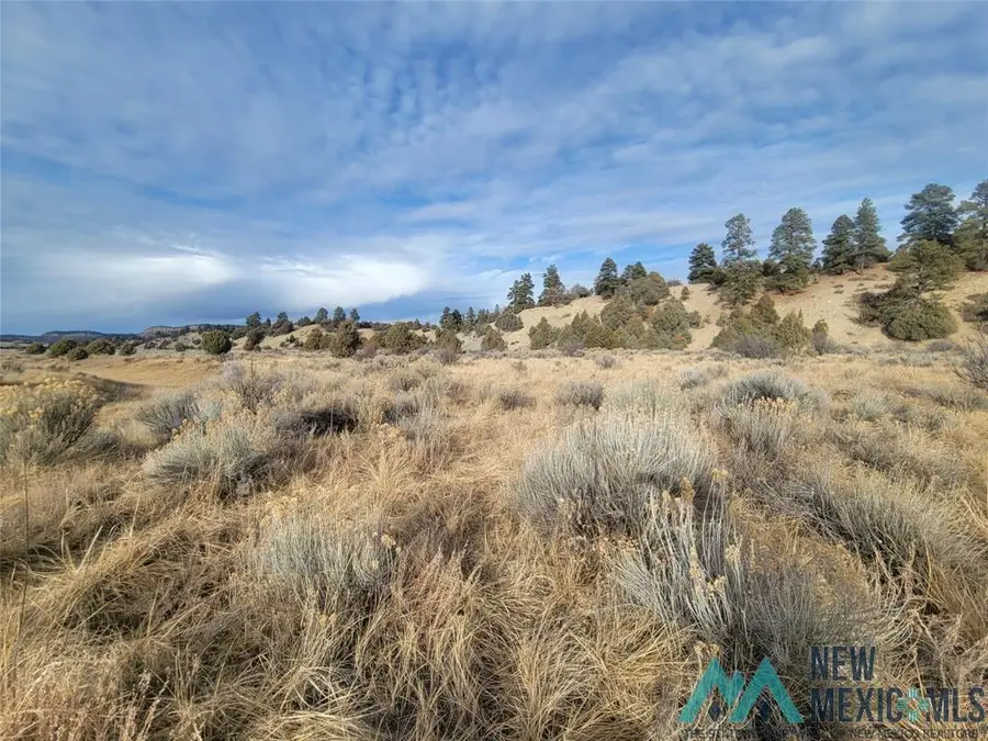0 Willow Way Drive, Chama, NM 87520 - Image #3