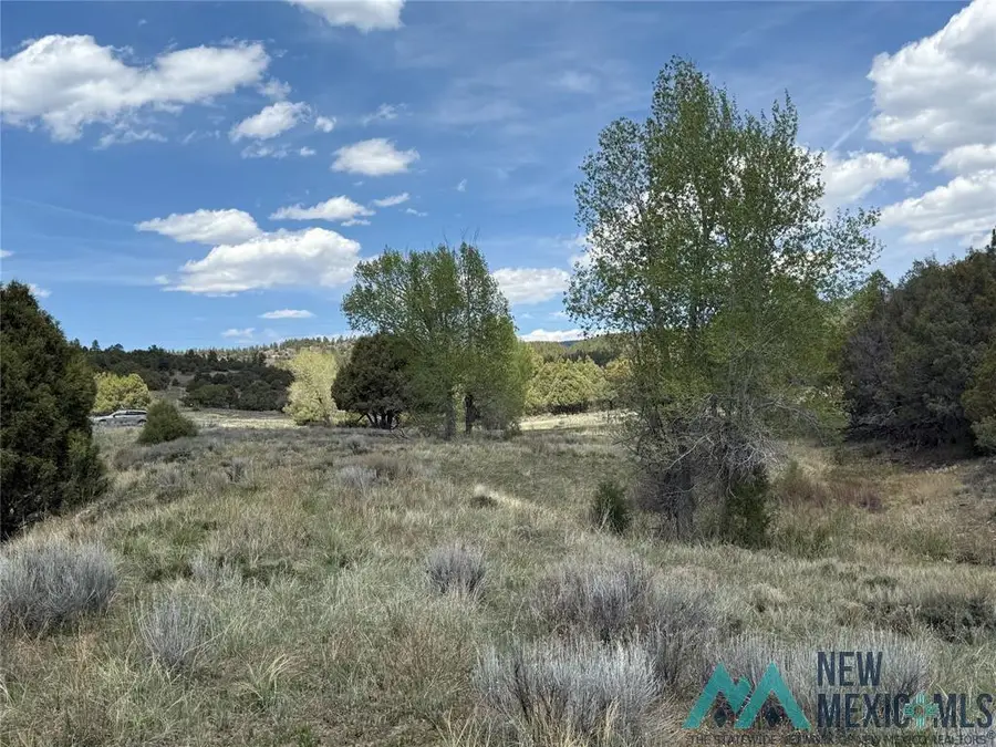 0 Porky Gulch Drive, Chama, NM 87520 - Image #2