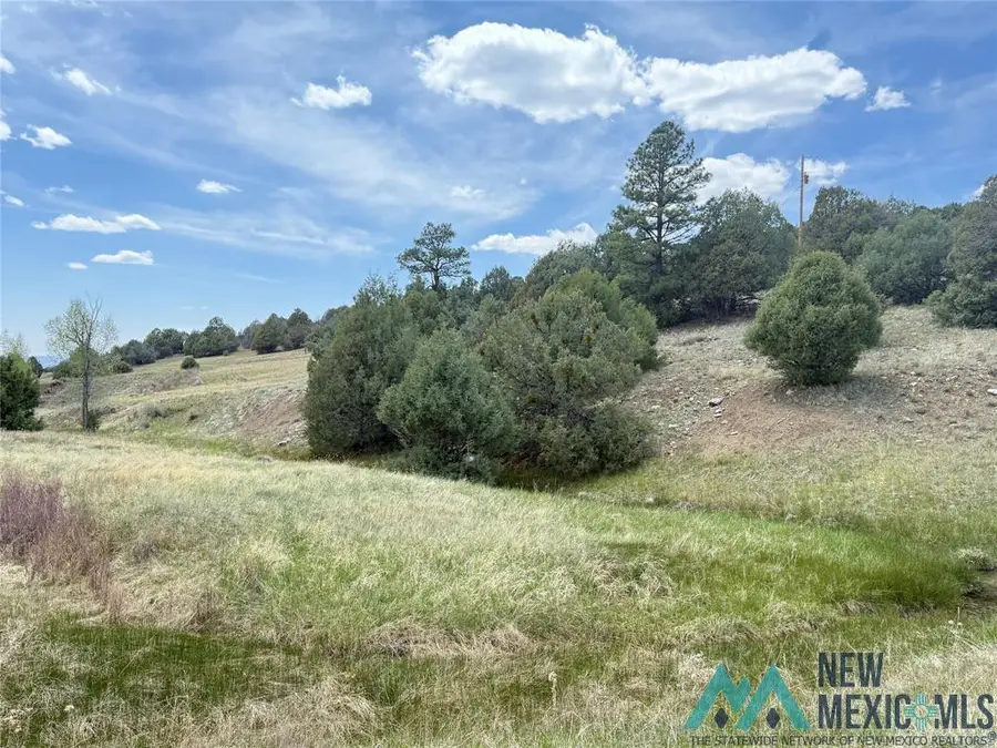 0 Porky Gulch Drive, Chama, NM 87520 - Image #3