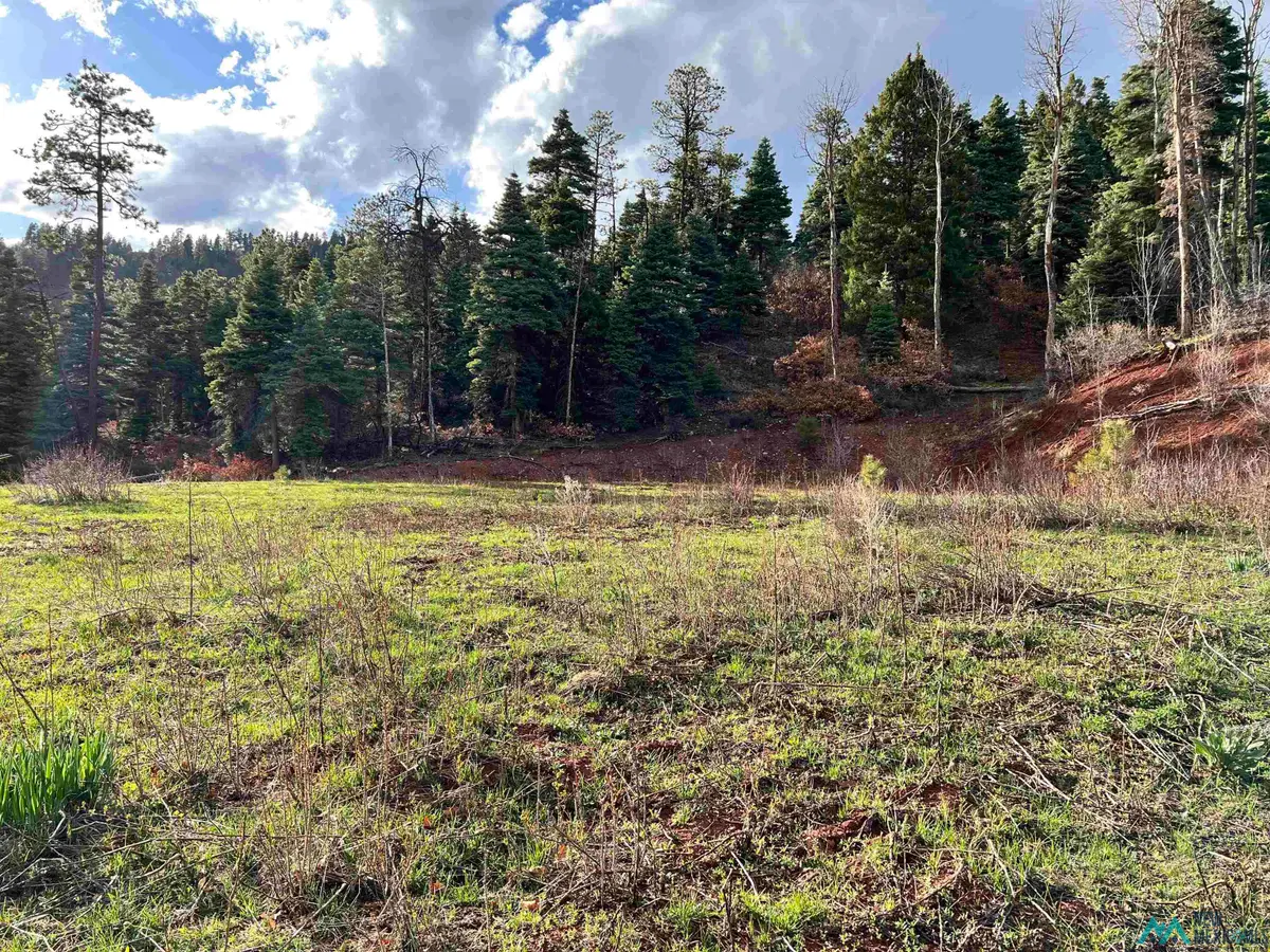 0 Canyons End Road, Chama, NM 87520 - Image #1