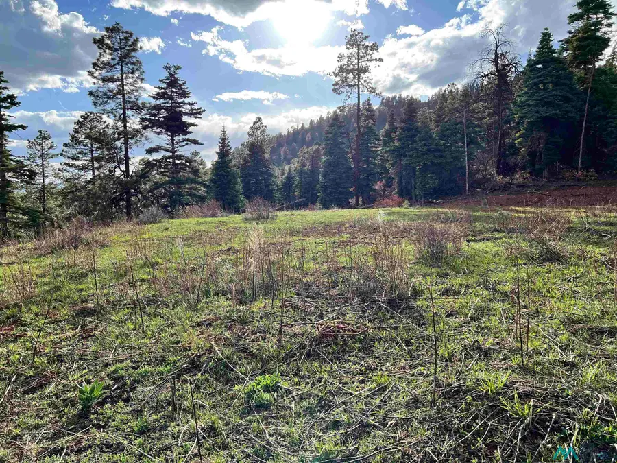 0 Canyons End Road, Chama, NM 87520 - Image #2