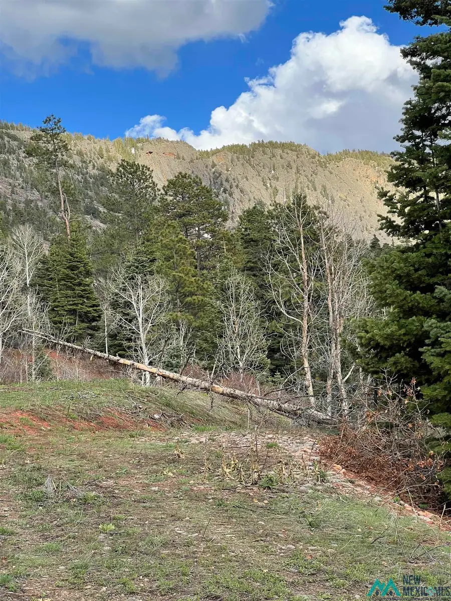 0 Canyons End Road, Chama, NM 87520 - Image #3