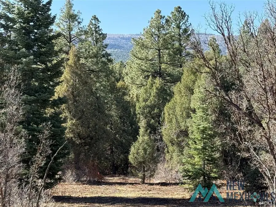 67 Pd 1755 Drive, Chama, NM 87520 - Image #2