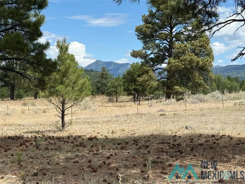 0 Thistle Loop Drive, Chama, NM 87520 - Image #1