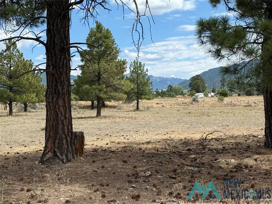 0 Thistle Loop Drive, Chama, NM 87520 - Image #2