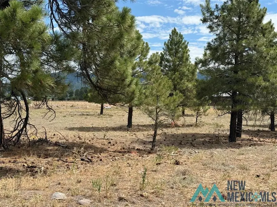 0 Thistle Loop Drive, Chama, NM 87520 - Image #3