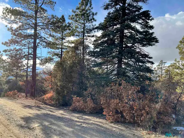 0 Rd 1781 Road, Chama, NM 87520