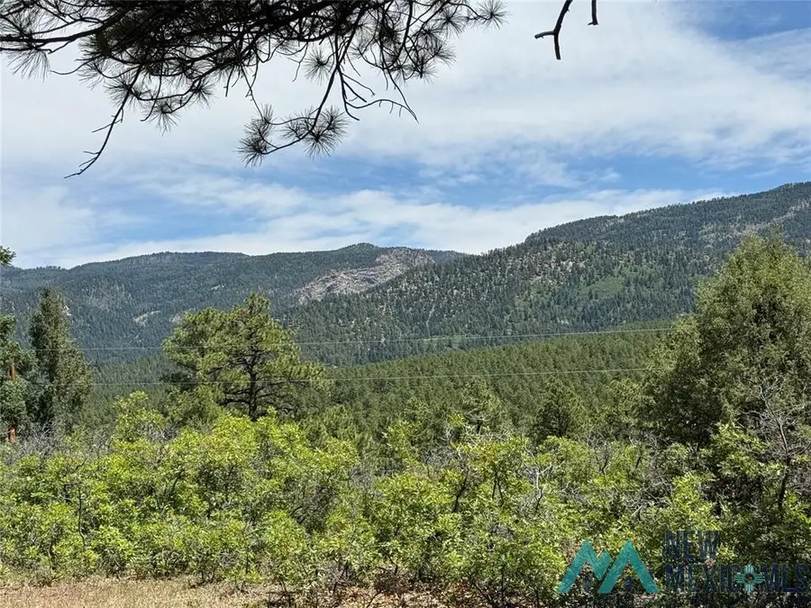381 Buckman Road Drive, Chama, NM 87520 - Image #2