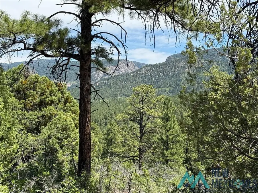381 Buckman Road Drive, Chama, NM 87520 - Image #3
