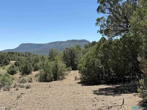 0 Christy Lane Lane, Chama, NM 87520